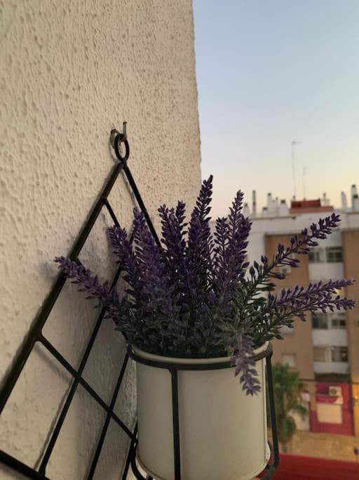 Anfitriones De Glamour - Albor De Sevilla Montequinto エクステリア 写真